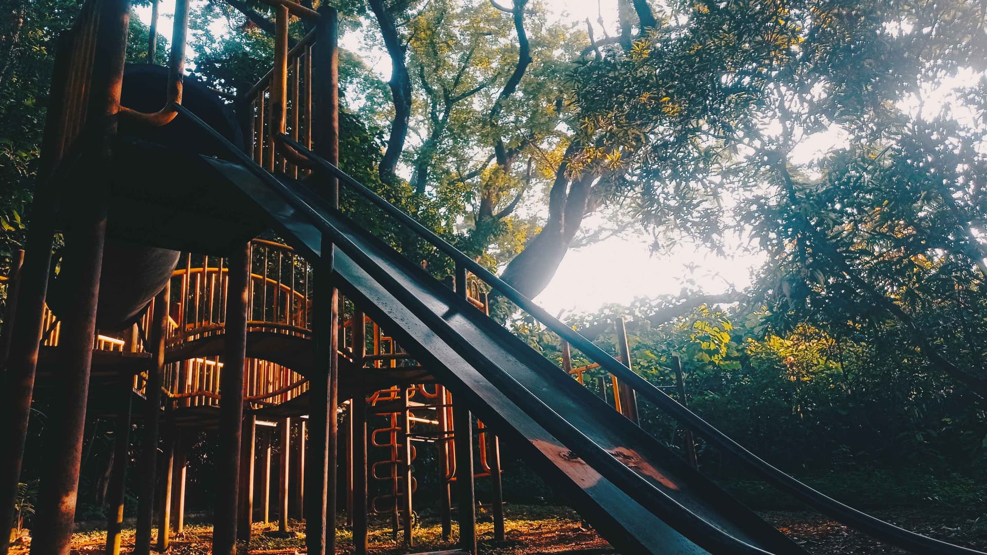 a slide shaded by trees in a park