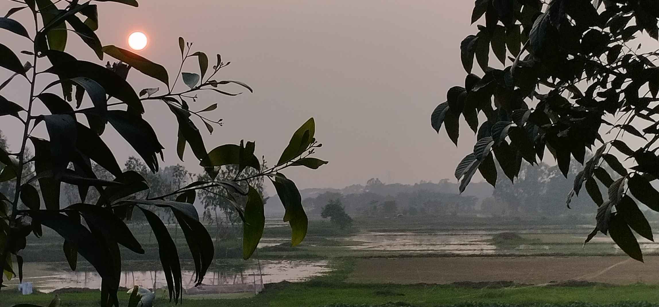 A peaceful natural landscape at sunset, with warm golden light spreading across the sky